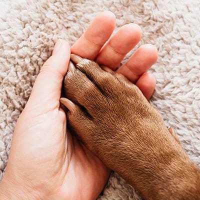 End-of-Life Care Services