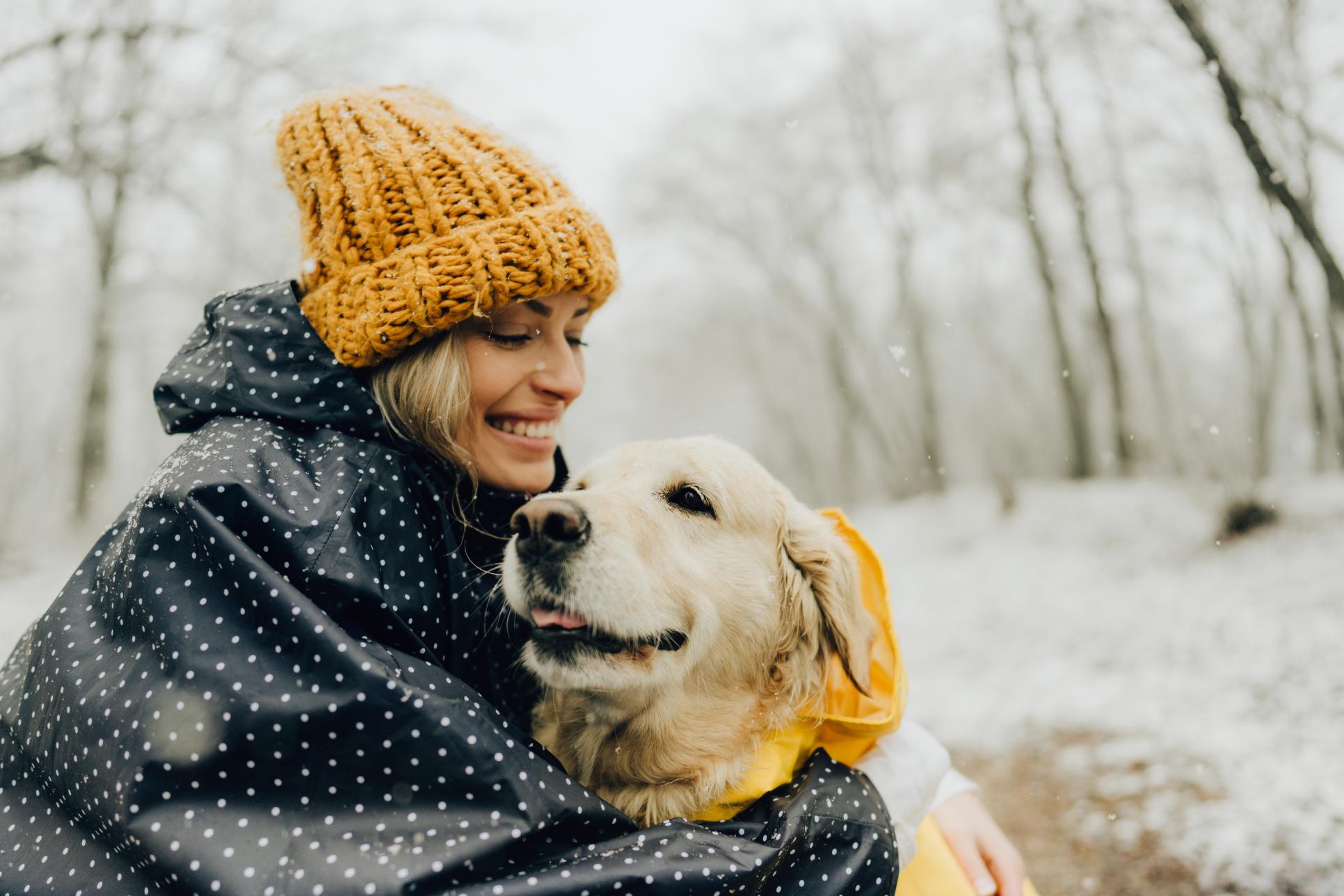 Cold Weather Care: How to Protect Your Pet This Winter